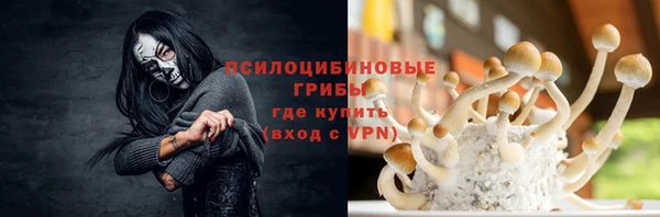 ГАЛЛЮЦИНОГЕННЫЕ ГРИБЫ Белоозёрский