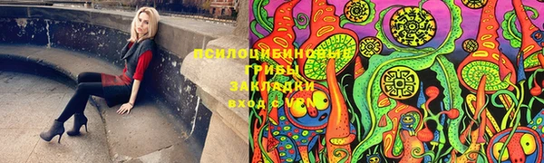 ГАЛЛЮЦИНОГЕННЫЕ ГРИБЫ Белоозёрский