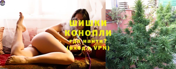ГАЛЛЮЦИНОГЕННЫЕ ГРИБЫ Белоозёрский