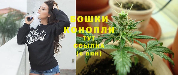 ГАЛЛЮЦИНОГЕННЫЕ ГРИБЫ Белоозёрский