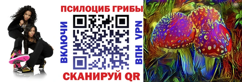 Галлюциногенные грибы MAGIC MUSHROOMS  ОМГ ОМГ онион  Дагестанские Огни 